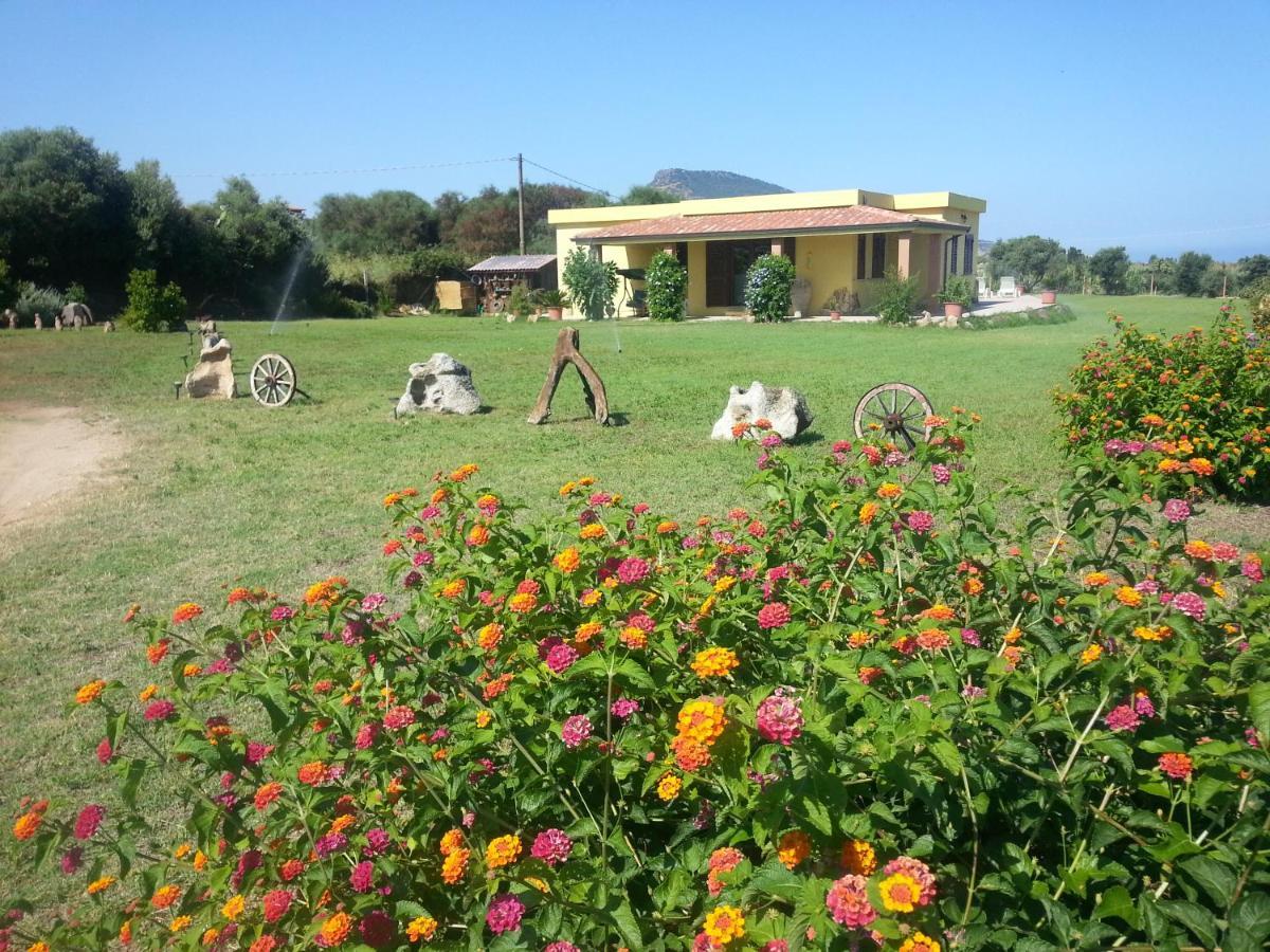 Villa Paola วัลเลดอเรีย ภายนอก รูปภาพ